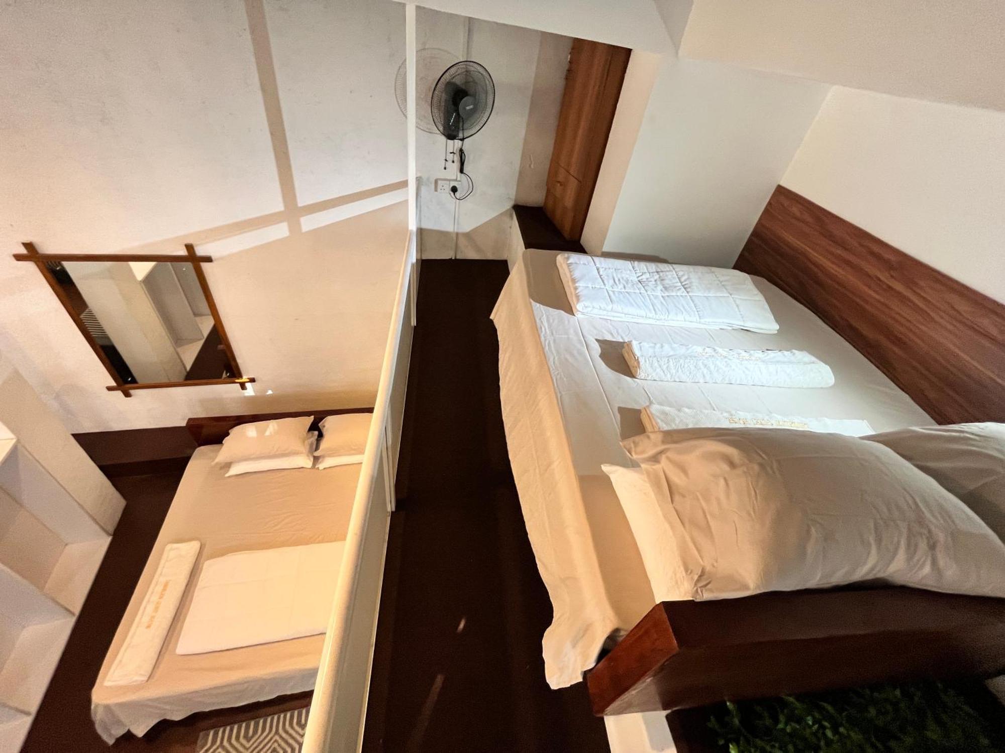 康提 蒲公英旅馆酒店 外观 照片