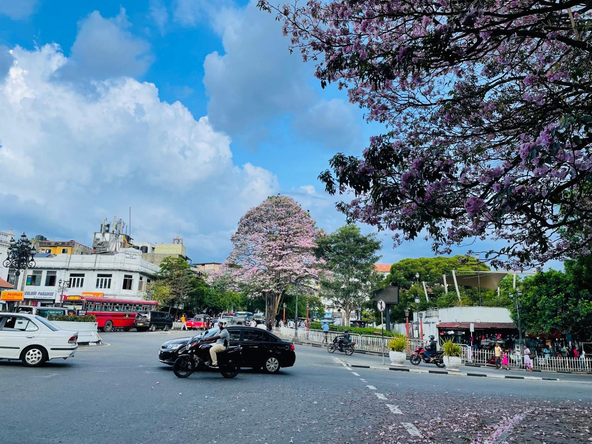 康提 蒲公英旅馆酒店 外观 照片